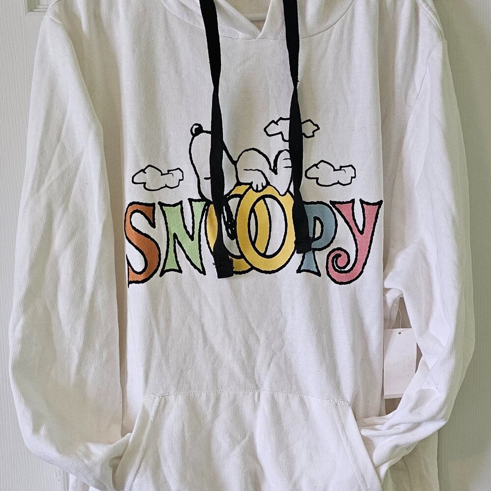 Peanuts Men's Big & Tall Pullover Sweatshirt w/Hoodie, Size 2XL(50-52)